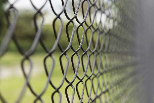 Barbed Wire Fencing